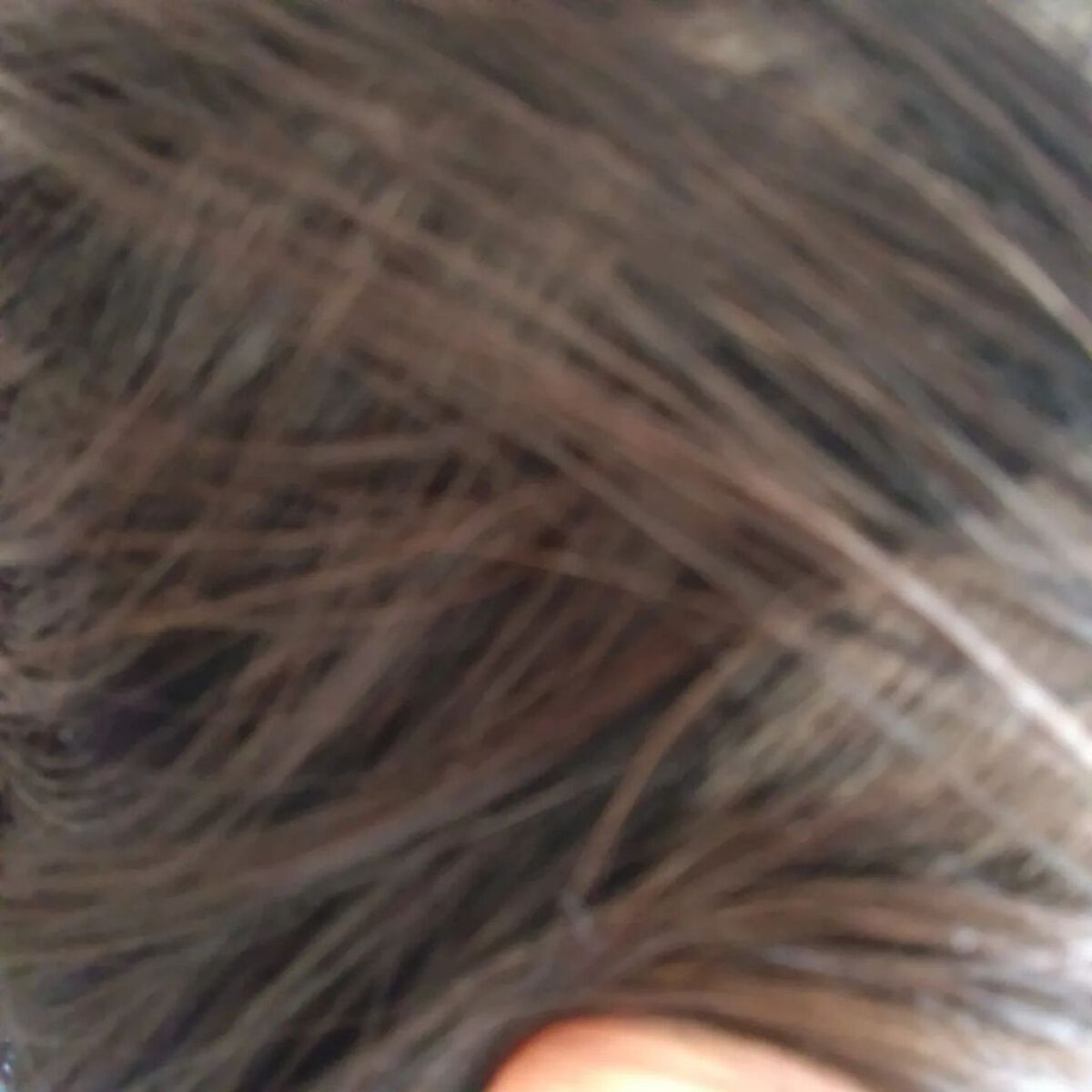 ROOT VANISH 白髪染めカラーシャンプー/ トリートメント/綺和美/市販シャンプーを使ったクチコミ（3枚目）