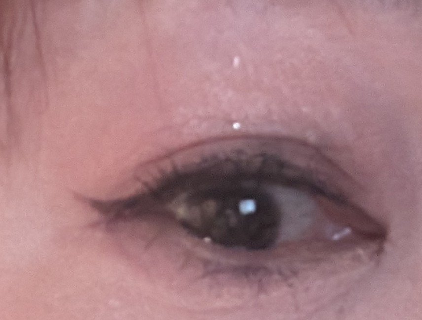 ラッシュエキスパンダー ロングロングロング/MAJOLICA MAJORCA/マスカラを使ったクチコミ（2枚目）