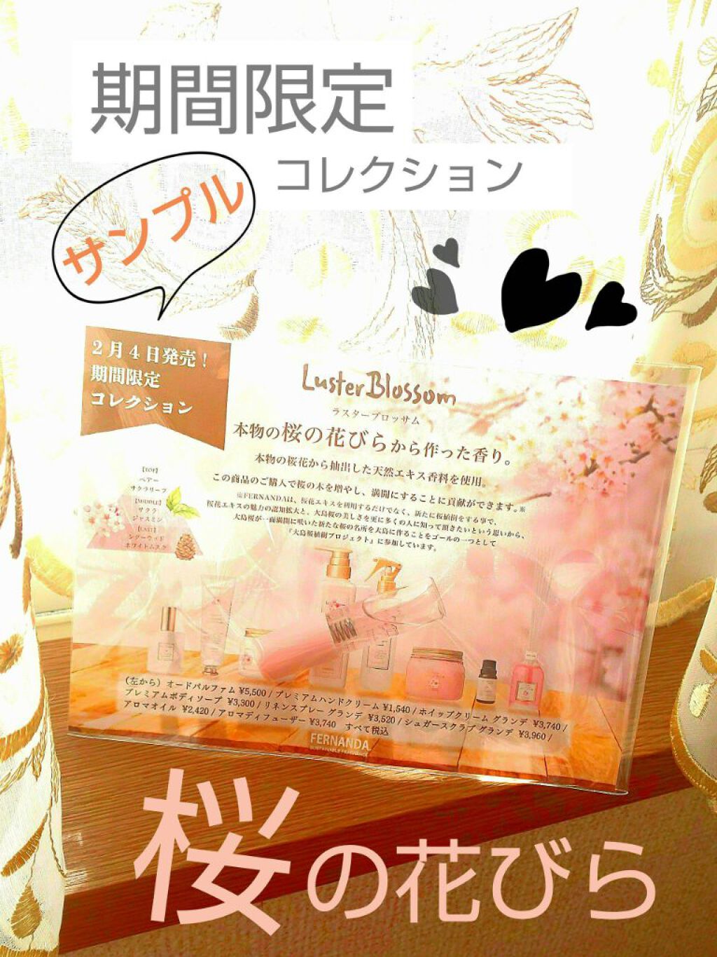 フレグランスボディミスト（ココアショコラ）/フェルナンダ/香水(レディース)を使ったクチコミ（2枚目）