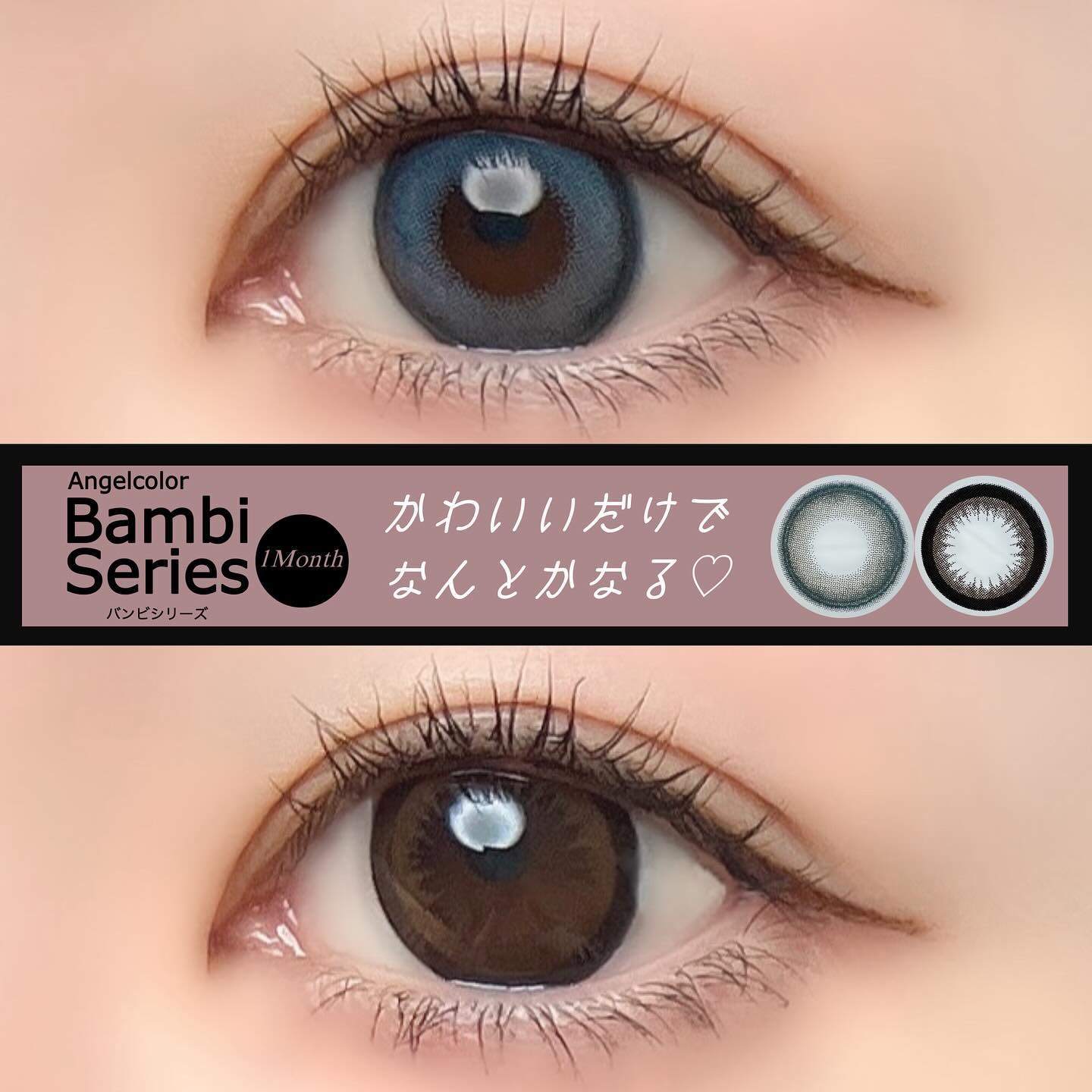 Angelcolor Bambi Series 1month/AngelColor/１ヶ月（１MONTH）カラコンを使ったクチコミ（1枚目）