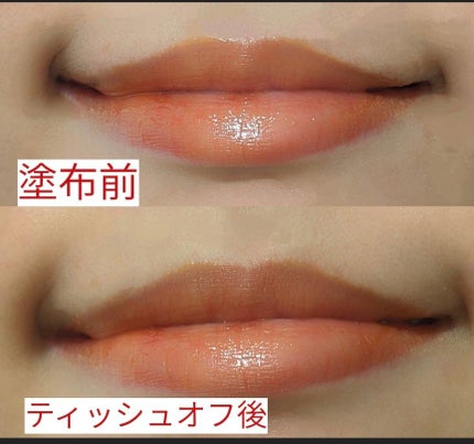 ニュアンスラップティント 04 無花果ベージュ/Fujiko/リップティントを使ったクチコミ(2枚目)