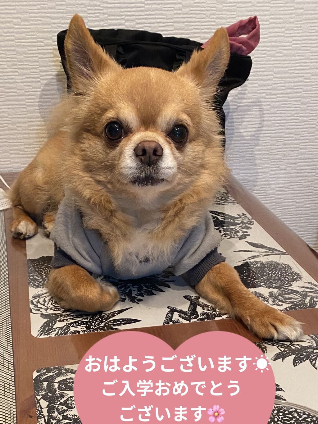 ランテルディボディローション/GIVENCHY/ボディローションを使ったクチコミ（3枚目）