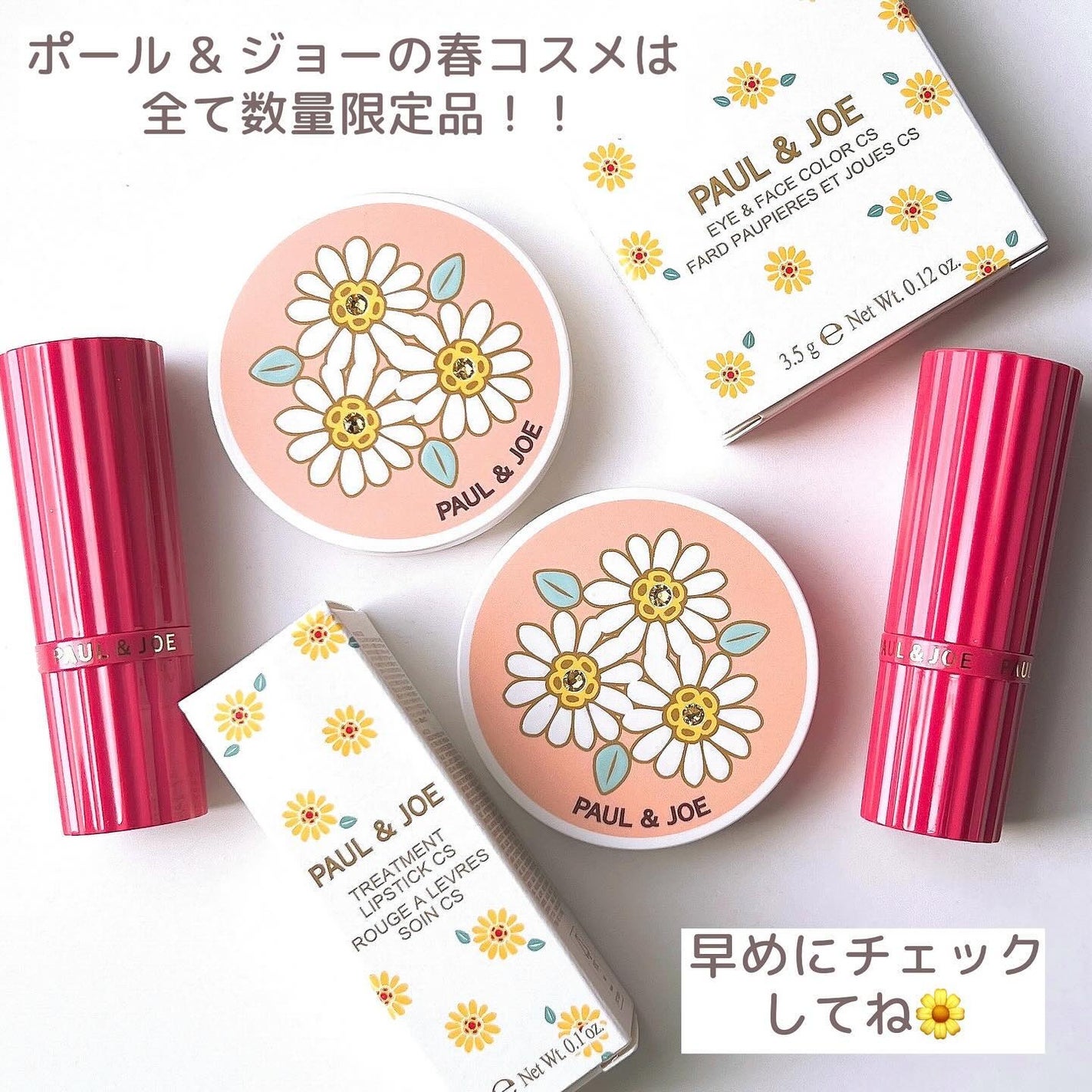 アイ & フェイスカラー CS/PAUL & JOE BEAUTE/アイシャドウパレットを使ったクチコミ(9枚目)