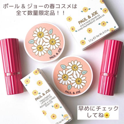 アイ & フェイスカラー CS/PAUL & JOE BEAUTE/アイシャドウパレットを使ったクチコミ(9枚目)