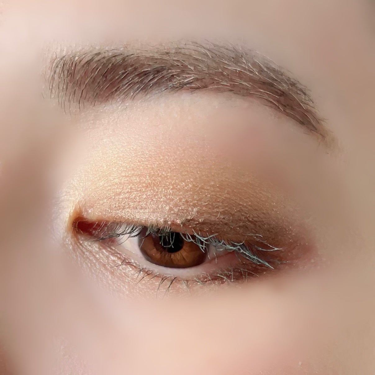 「塗るつけまつげ」自まつげ際立てタイプ/デジャヴュ/マスカラを使ったクチコミ(6枚目)