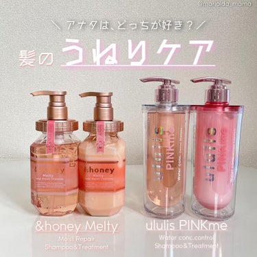 &honey Melty モイストリペア シャンプー1.0／モイストリペア ヘアトリートメント2.0/&honey/シャンプー・コンディショナーを使ったクチコミ（1枚目）