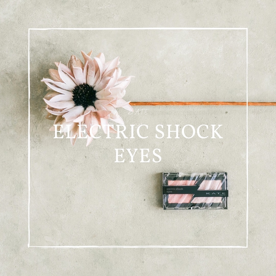 エレクトリックショックアイズ /KATE/アイシャドウパレットを使ったクチコミ（1枚目）