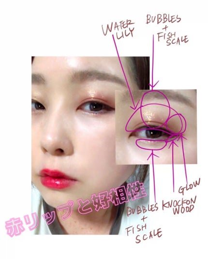 エクスプローラ12色 動物アイシャドウパレット/PERFECT DIARY/アイシャドウパレットを使ったクチコミ(2枚目)