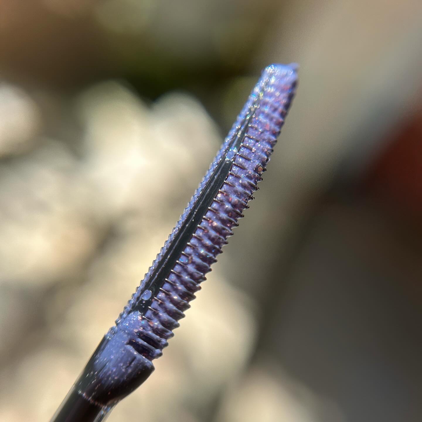 ミネラルロングセパレートマスカラ/エトヴォス/マスカラを使ったクチコミ（2枚目）