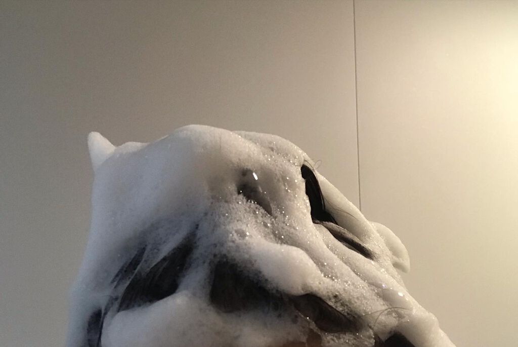 プルント モイストリッチ美容液シャンプー/モイストリッチリペア美容液トリートメント/Purunt./市販シャンプーを使ったクチコミ(7枚目)