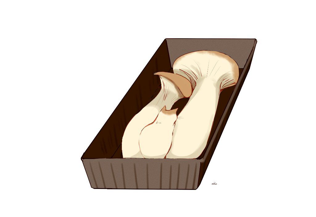 フィーノ　プレミアムタッチ　濃厚美容液ヘアマスク/フィーノ/ヘアマスク・ヘアパックを使ったクチコミ（1枚目）