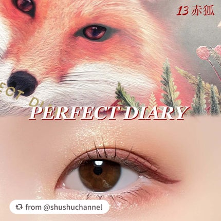 エクスプローラ12色 動物アイシャドウパレット/PERFECT DIARY/アイシャドウパレットを使ったクチコミ(1枚目)