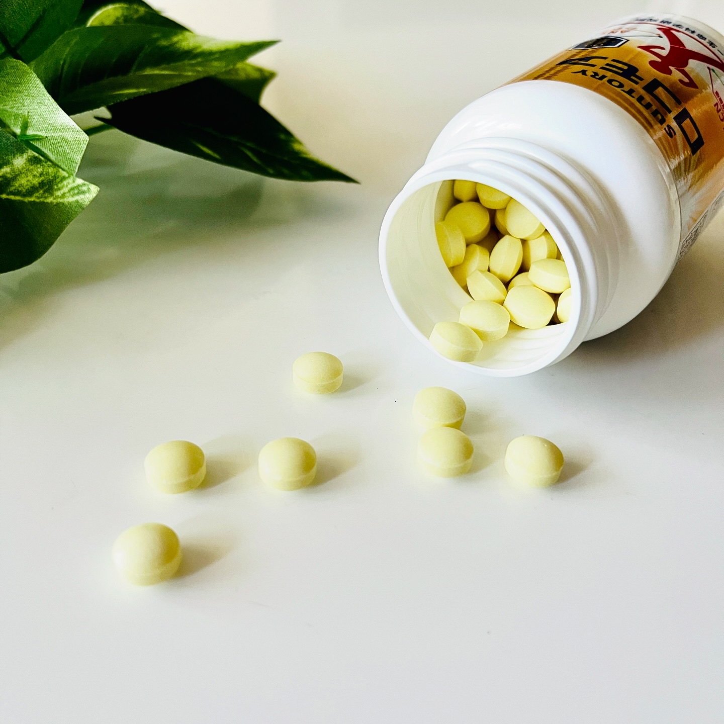 ロコモア/サントリー/健康サプリメントを使ったクチコミ（3枚目）