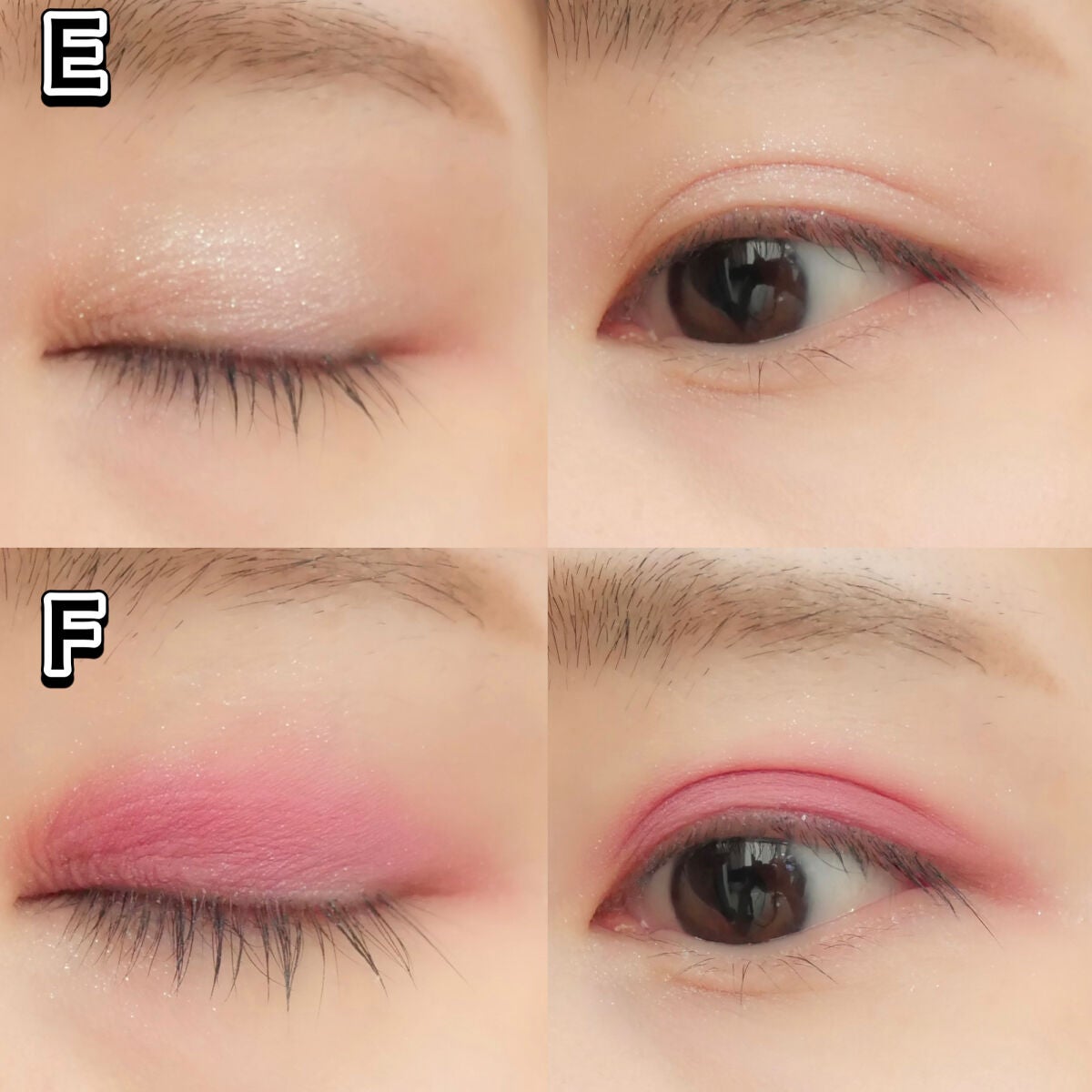 エクスプローラ12色 動物アイシャドウパレット/PERFECT DIARY/アイシャドウパレットを使ったクチコミ(5枚目)