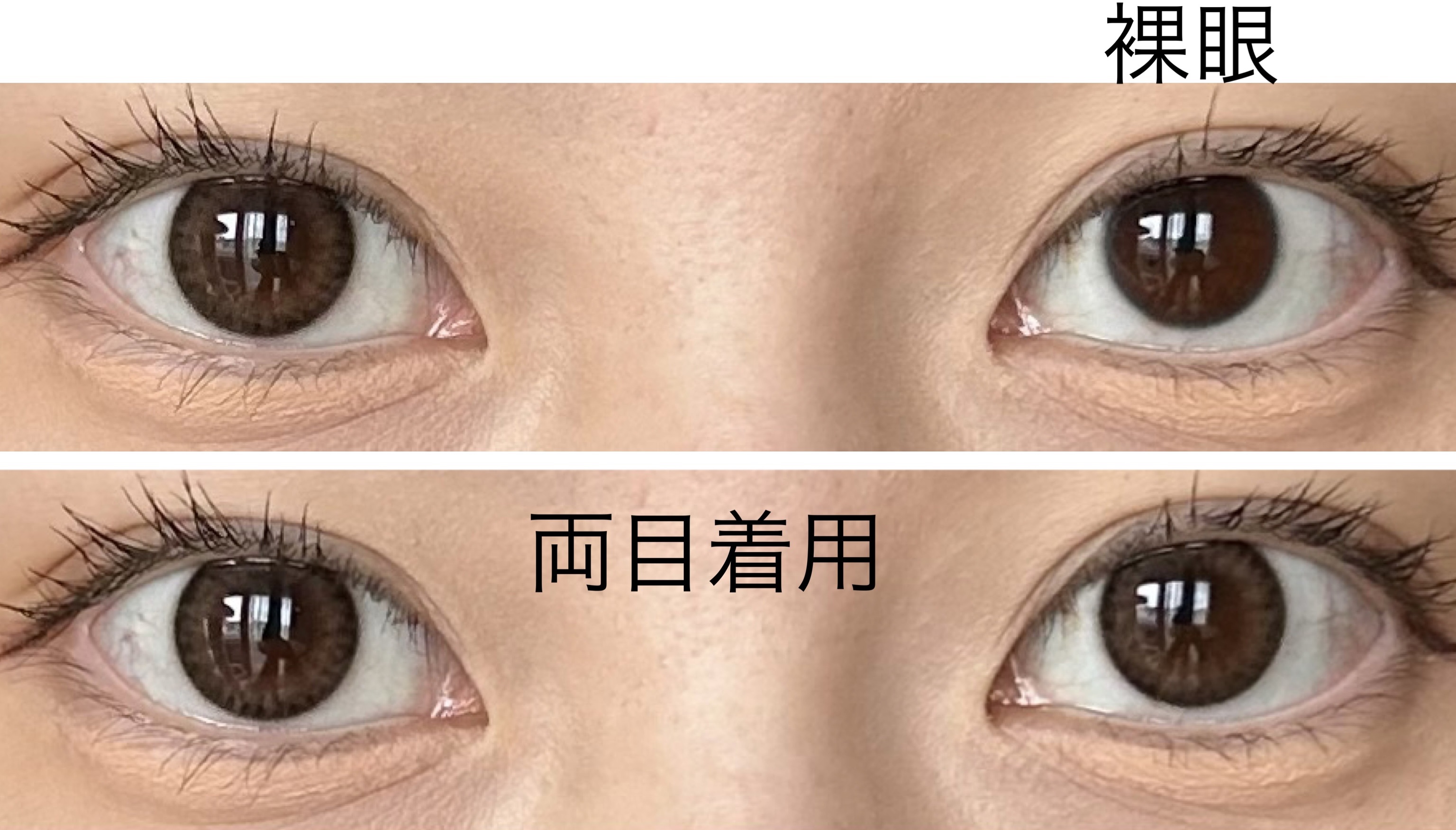 EDNA 1day/EDNA/ワンデー（１DAY）カラコンを使ったクチコミ（2枚目）