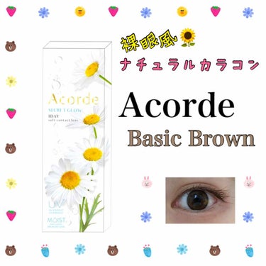 Acorde（アコルデ） ベーシックブラウン(デイリーシリーズ)/Acorde/カラーコンタクトレンズを使ったクチコミ（1枚目）