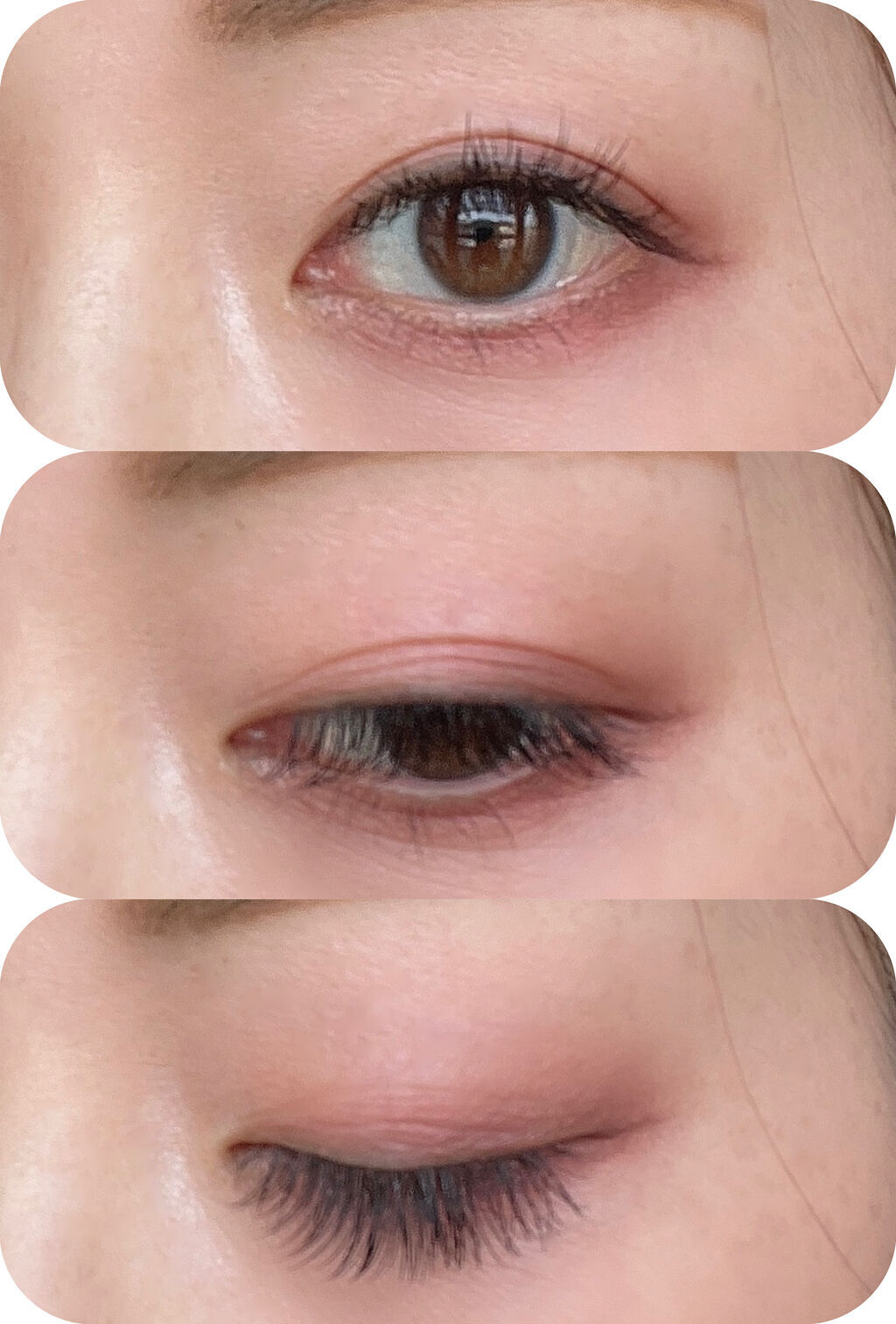 【旧】サンク クルール クチュール/Dior/アイシャドウパレットを使ったクチコミ（2枚目）