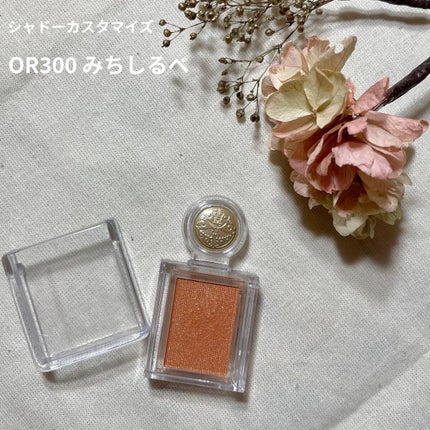 シャドーカスタマイズ/MAJOLICA MAJORCA/単色アイシャドウを使ったクチコミ(1枚目)