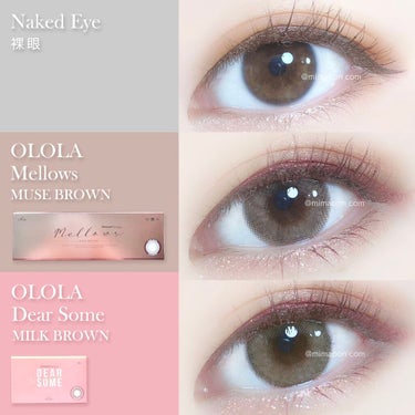 メローズワンデーミューズブラウン(Mellows 1day Muse Brown)/OLOLA/ワンデー（１DAY）カラコンを使ったクチコミ（2枚目）