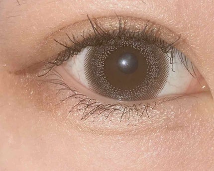 スキニーリッチシャドウ/excel/アイシャドウパレットを使ったクチコミ(2枚目)