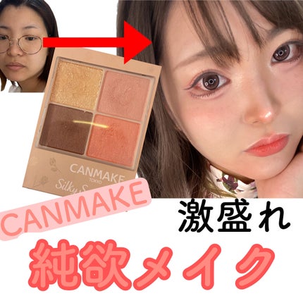 シルキースフレアイズ(マットタイプ)/キャンメイク/アイシャドウパレットを使ったクチコミ(1枚目)