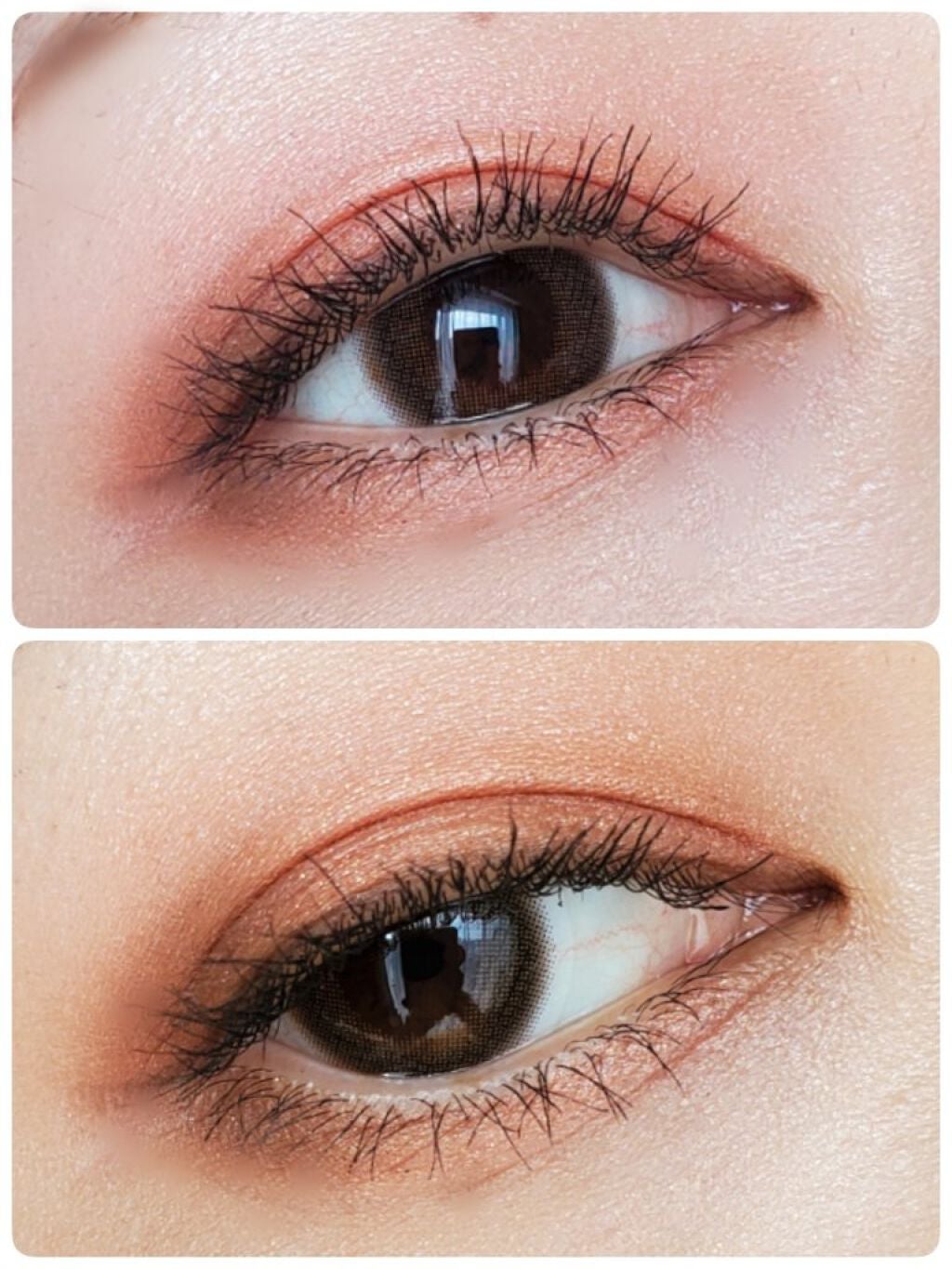 TOPARDS 1day/TOPARDS/ワンデー(1DAY)カラコンを使ったクチコミ(4枚目)