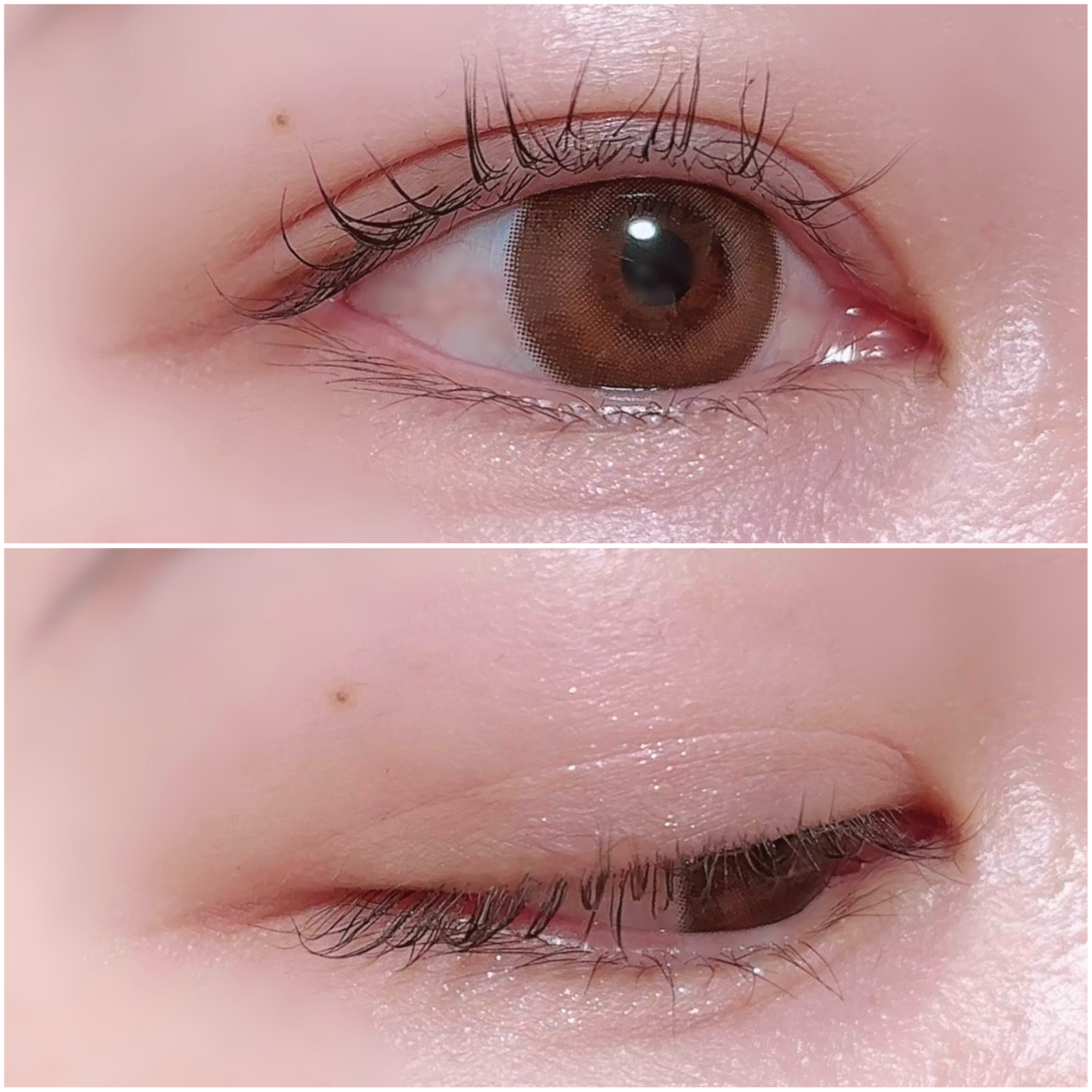 エッセンシャルアイパレット 01 ユアーモーヴ /BBIA/マルチパレットを使ったクチコミ（3枚目）