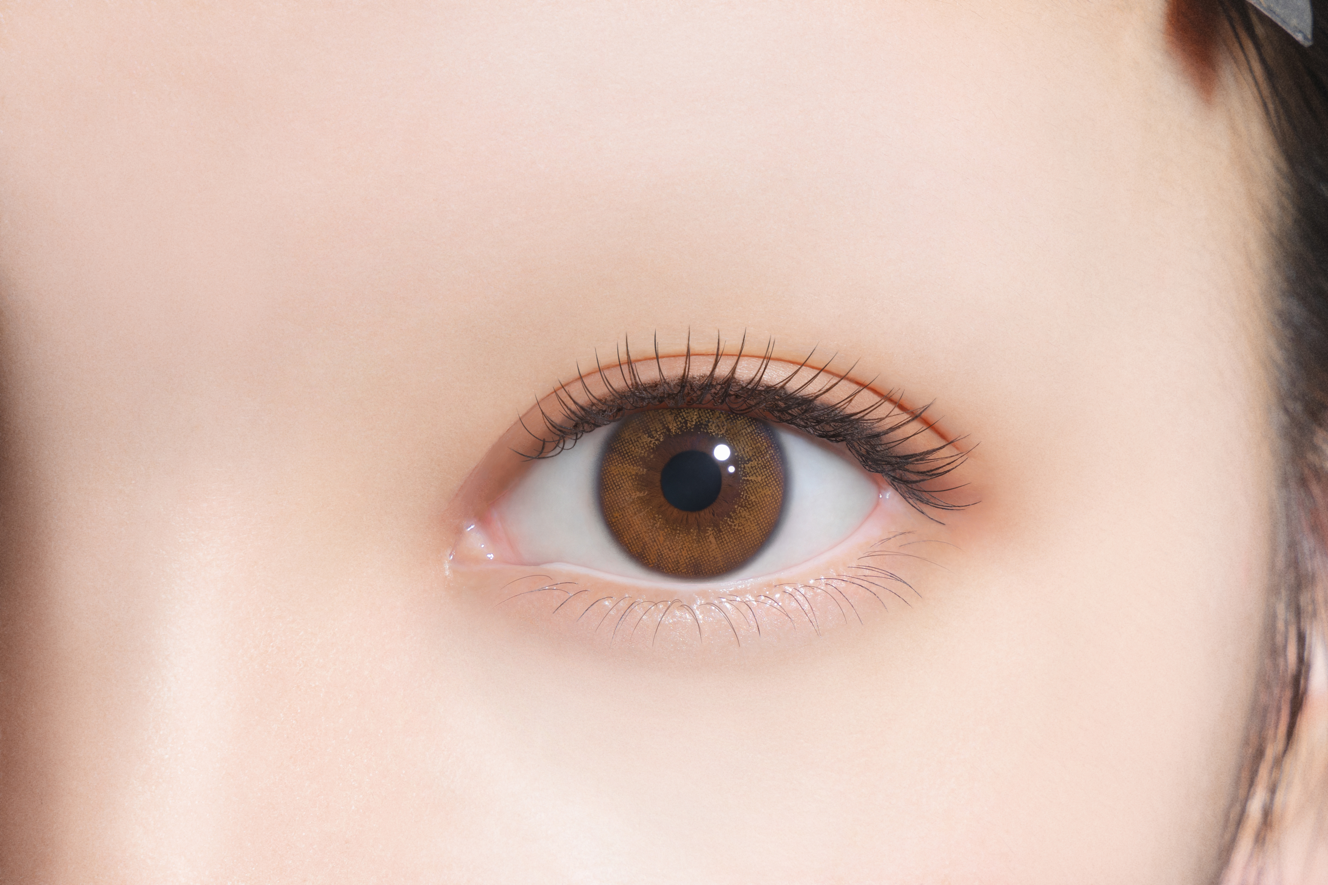 FALOOM 1DAY シークレットチュチュブラウン