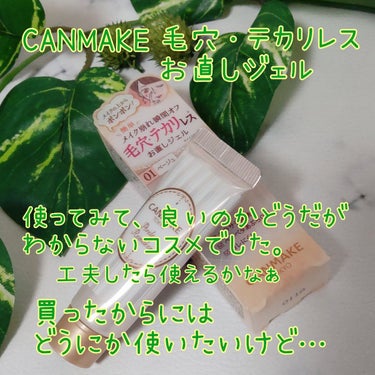 キャンメイク ポアレスリメイカーのクチコミ「こんばんは、コンパスです。

今日は、何回か使いましたが、良いのかどうだがどうしてもわからない.....」（1枚目）