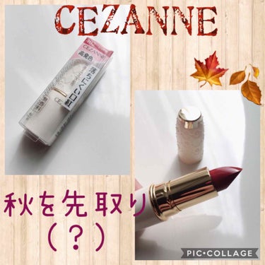 ラスティング リップカラーN/CEZANNE/口紅を使ったクチコミ（1枚目）