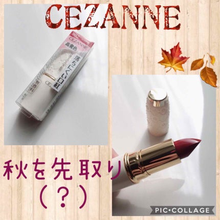 ラスティング リップカラーN/CEZANNE/口紅を使ったクチコミ(1枚目)