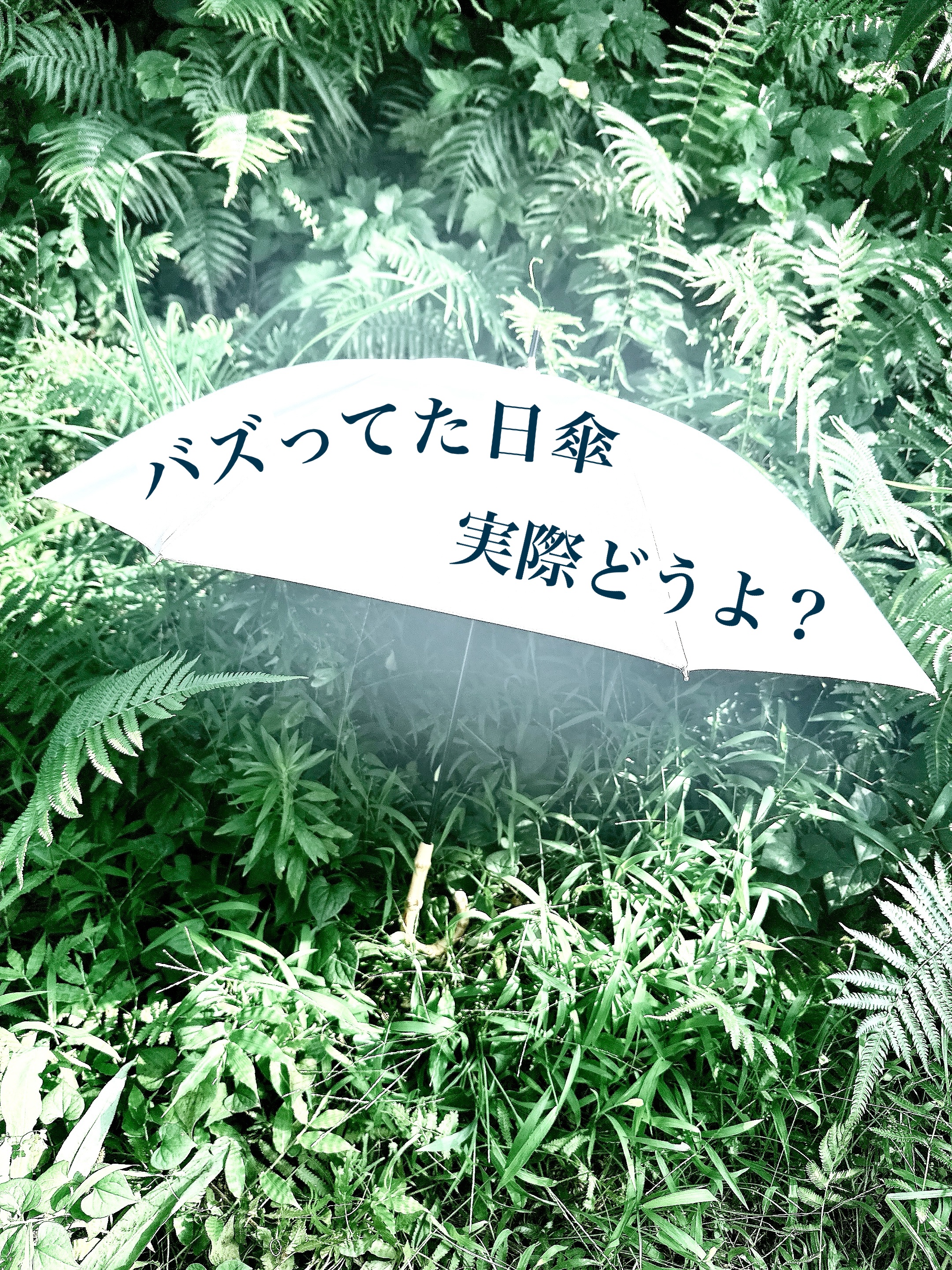 バズっていた日傘を買ってみました。日傘を5本所有している私が辛口レビューします！

＊

少し前、Xで東レのサマーシールド採用の日傘「Waterfront　COKAGE＋」がバズっていました。投稿主の多くはインフルエンサーで、本投稿の下に吊