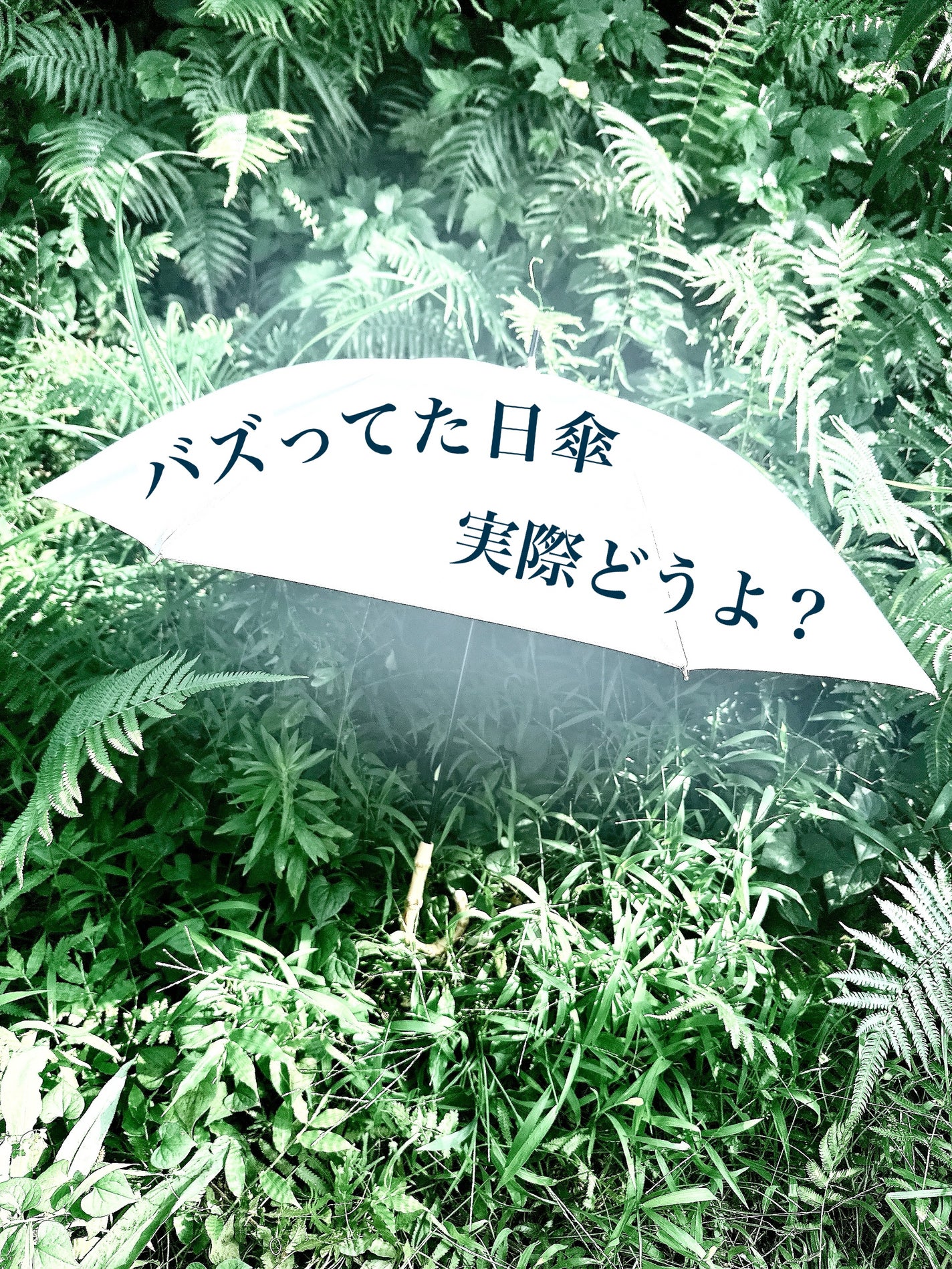 COKAGE+/Water front/その他を使ったクチコミ(1枚目)