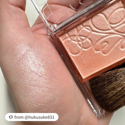 パールグロウニュアンサー/CEZANNE/パウダーハイライトを使ったクチコミ(4枚目)