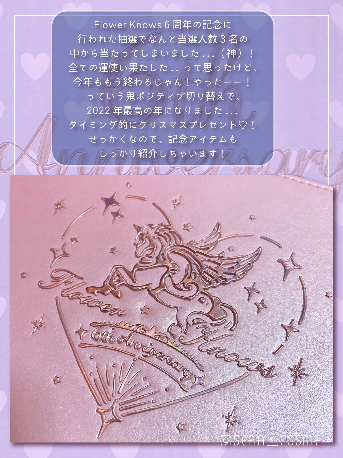 Love Bear マットリップスティック/FlowerKnows/口紅を使ったクチコミ(2枚目)