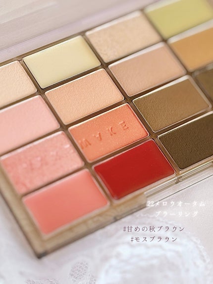 ソフトブラーリングアイパレット/wakemake/アイシャドウパレットを使ったクチコミ(5枚目)