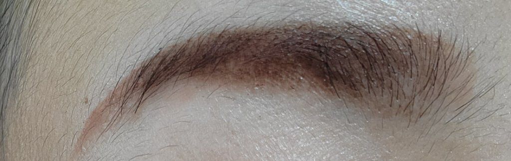 ヴィセ リシェ アイブロウパウダー/Visée/パウダーアイブロウを使ったクチコミ（3枚目）