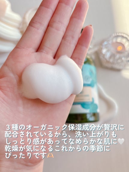 クナイプ 泡ボディウォッシュ ピースフルモーメント アクアハーバルの香り ボトル 450g/クナイプ/ボディソープの画像