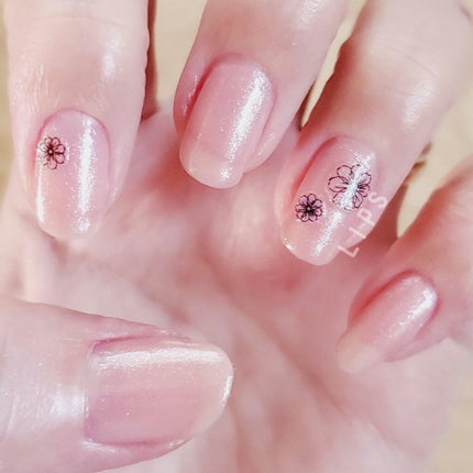 miia ネイルカラー/DAISO/マニキュアを使ったクチコミ(1枚目)