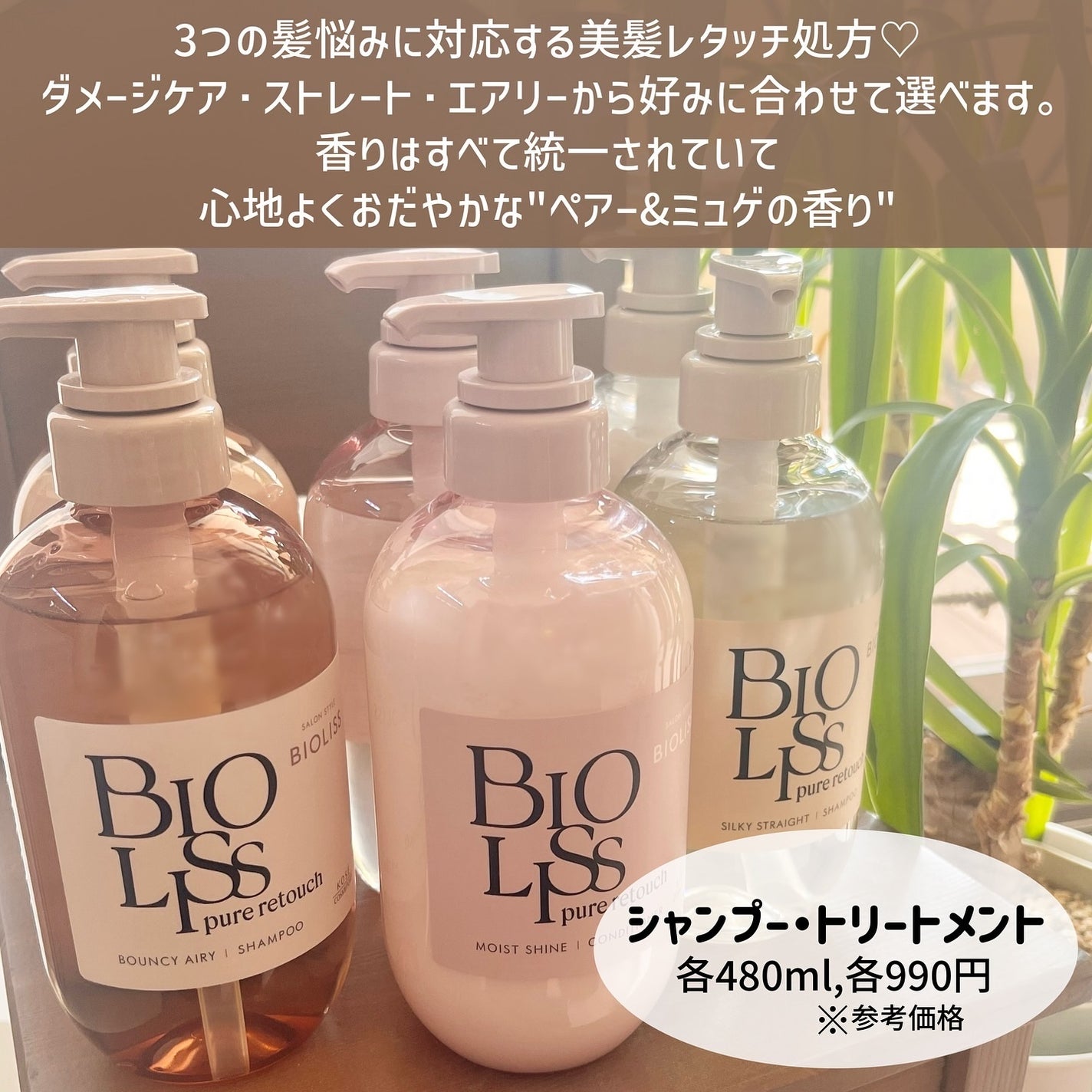 SS ビオリス ピュアレタッチ うねさぁら シャンプー/ヘアコンディショナー/SSビオリス/市販シャンプーを使ったクチコミ(2枚目)