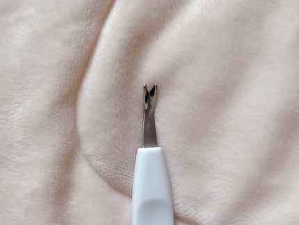 ãã¥ãŒãã£ã¯ã«ãæå
¥ãã»ãã/è²å°/ãã€ã«çšåã䜿ã£ãã¯ãã³ãïŒ5æç®ïŒ