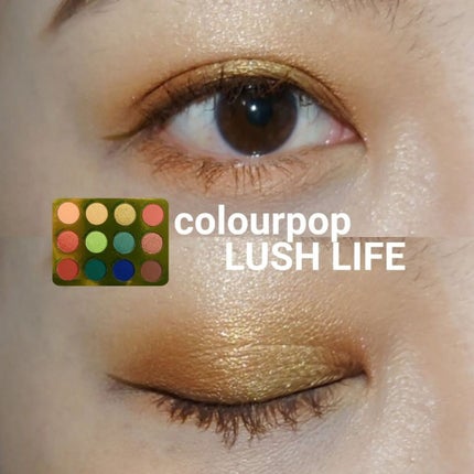 ラッシュライフ/ColourPop/アイシャドウパレットを使ったクチコミ(1枚目)