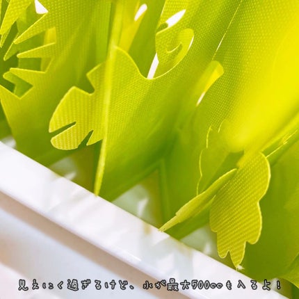 えび松(春br) on LIPS 「株式会社ミクニライフ&オート様よりミスティガーデン2ndを..」(6枚目)