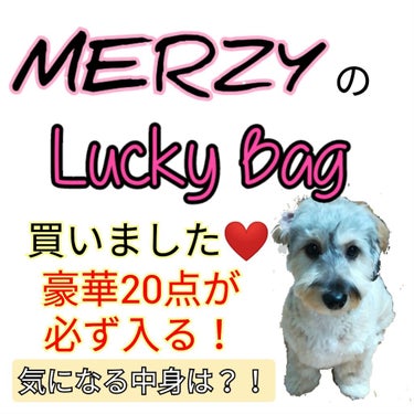 福袋/MERZY/メイクアップキットを使ったクチコミ（1枚目）