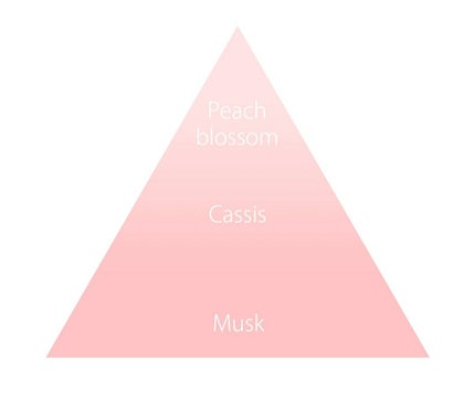 オハナ・マハロ オードトワレ〈ミリミリ アネラ〉/OHANA MAHAALO/香水(レディース)を使ったクチコミ(5枚目)