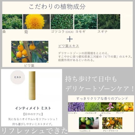 インティメイト ミスト/Waphyto/ボディローションを使ったクチコミ(6枚目)