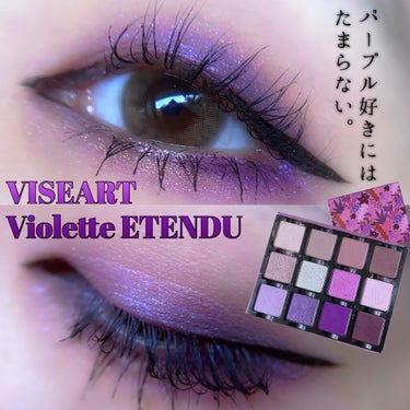 Violette ÉTENDU/VISEART/アイシャドウパレットを使ったクチコミ（1枚目）