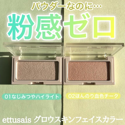 エテュセ グロウスキン フェイスカラー 01 <ハイライター>/ettusais/パウダーハイライトを使ったクチコミ(1枚目)