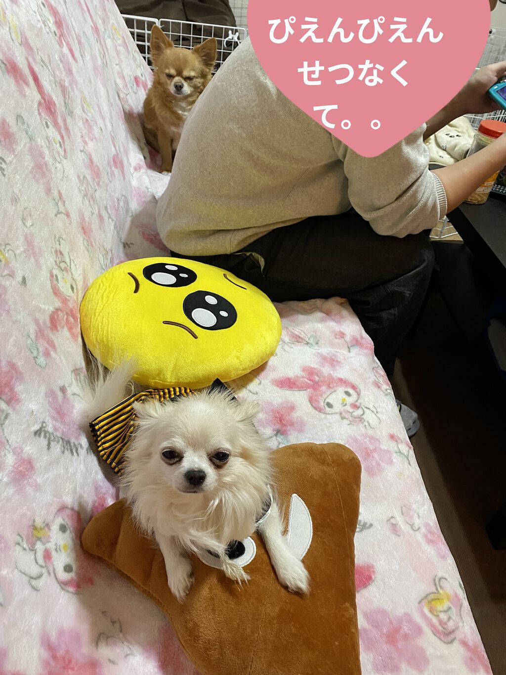 プレステージ マイクロ ユイル ド ローズ セラム/Dior/美容液を使ったクチコミ（3枚目）