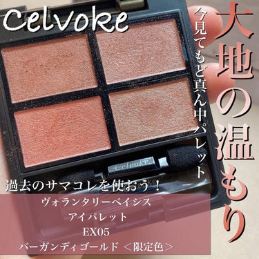 ヴォランタリーベイシス アイパレット  10/Celvoke/アイシャドウパレットを使ったクチコミ（1枚目）